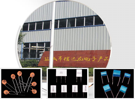 東雄-深厚技術(shù)班底